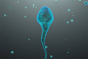 Best IUI Clinic in India