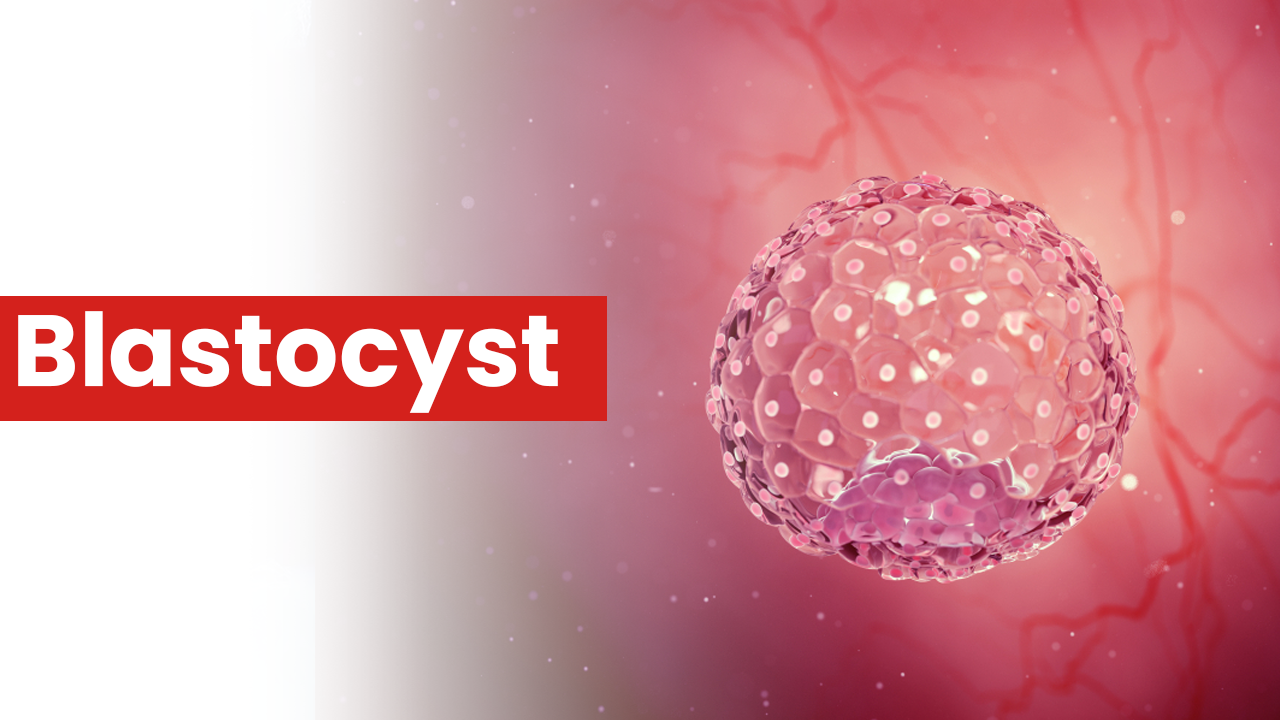 Best Fertility Clinic in Delhi